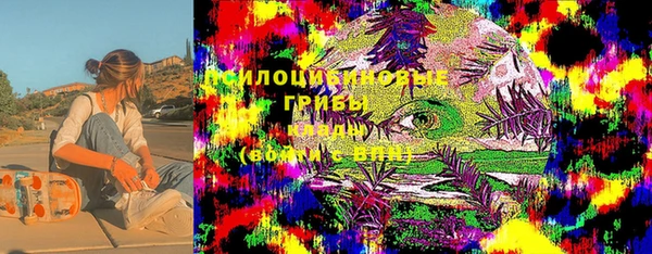 прущие крисы Верея