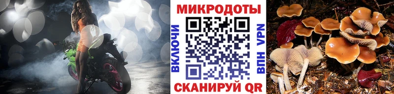Псилоцибиновые грибы Psilocybe  Благовещенск 
