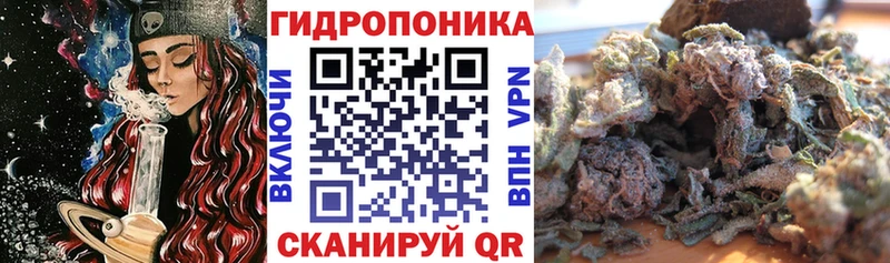 mega онион  даркнет Telegram  Благовещенск  Конопля план  где найти  